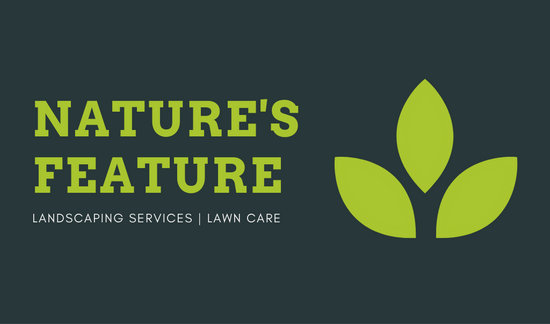 550x324 Green Plant Vector Lawn Care Business Card
