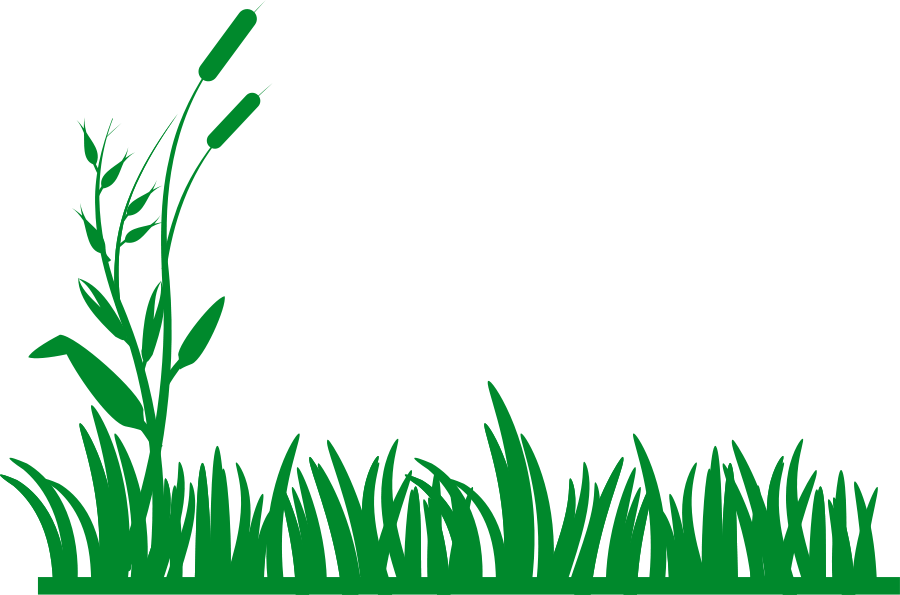 900x595 Lawn Care Clipart