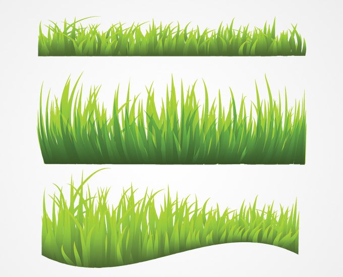 680x550 Grass Vector