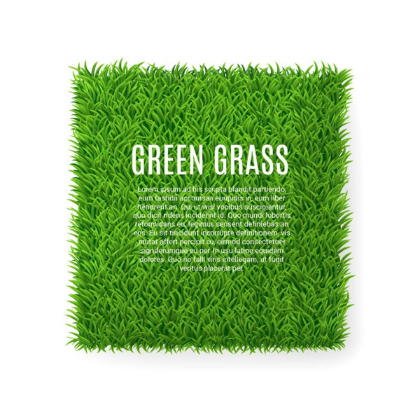 600x568 Lawn My Free Photoshop World