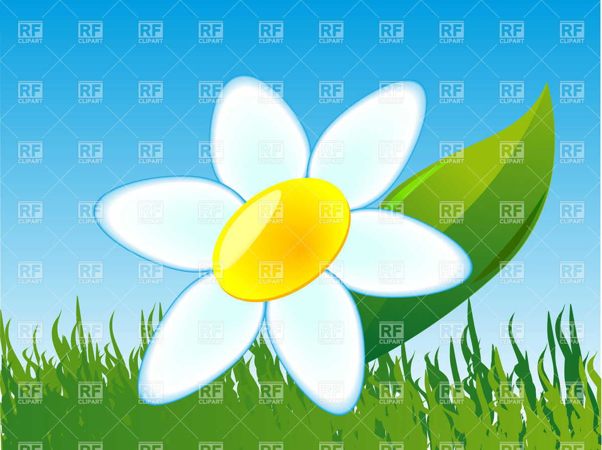 1200x898 Cartoon Camomile With Leaf On Lawn Vector Image Of Plants