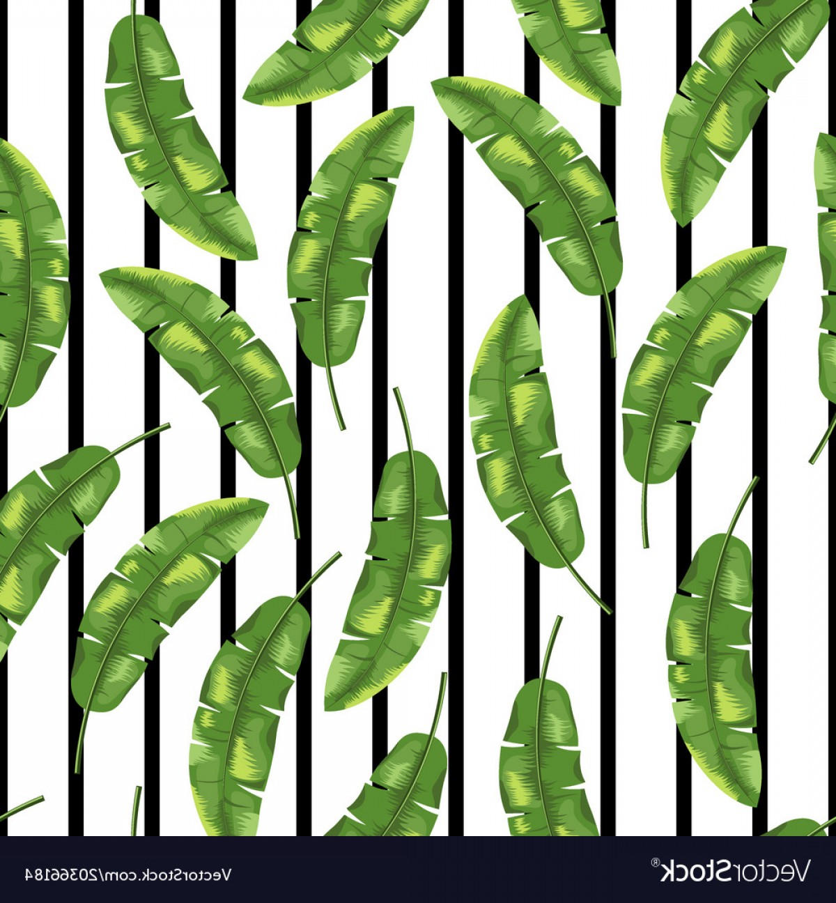 Green Banana Leaves On Black And White Background Vector Soidergi 1200x1296 Green Banana Leaves On Black And White Background Vector Soidergi