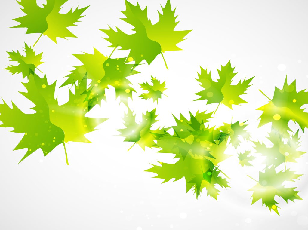 Green Leaf Vector Background Vector Art Graphics 1024x765 Green Leaf Vector Background Vector Art Graphics