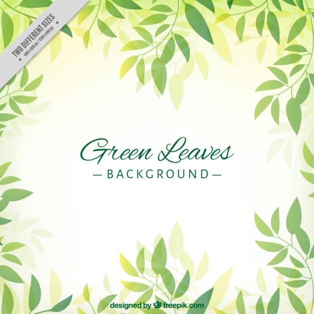 Hand Drawn Cute Green Leaves Background Vector Free Download 626x626 Hand Drawn Cute Green Leaves Background Vector Free Download