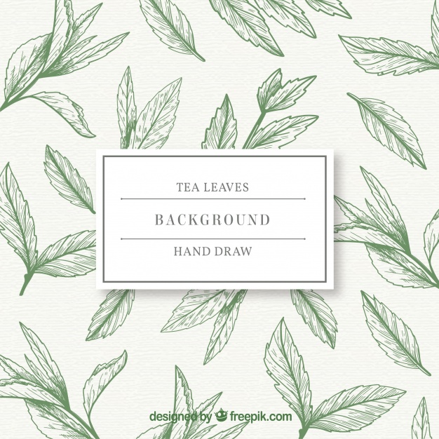 Hand Drawn Tea Leaves Background Vector Free Download 626x626 Hand Drawn Tea Leaves Background Vector Free Download