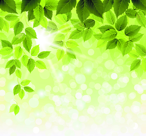 Refreshing Green Leaves Background Vector Vector Background Free 500x466 Refreshing Green Leaves Background Vector Vector Background Free