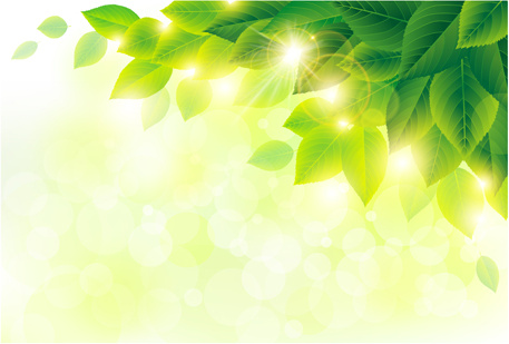 Spring Sunlight With Green Leaves Background Vector Free Vector 457x309 Spring Sunlight With Green Leaves Background Vector Free Vector