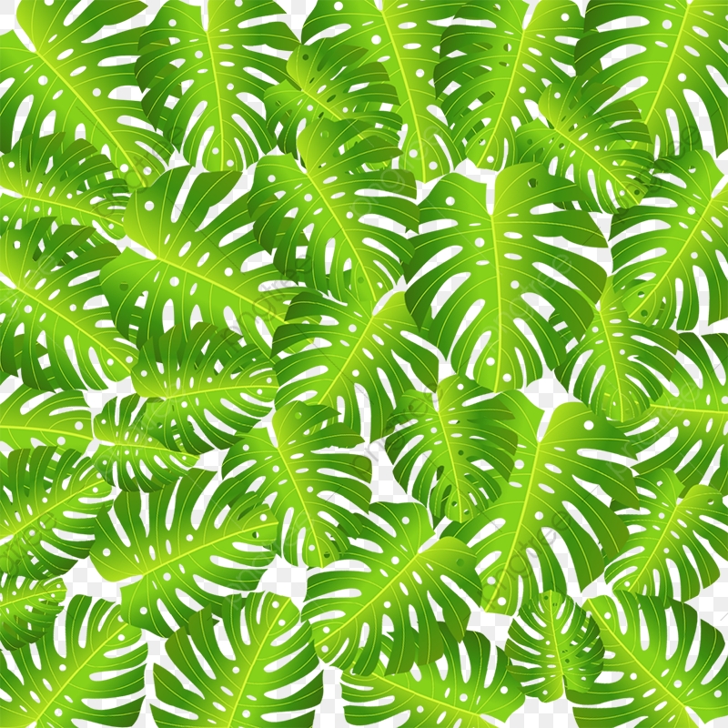 Topical Leaf Background Vector, Tropical Flower, Flowers, Tropical 800x800 Topical Leaf Background Vector, Tropical Flower, Flowers, Tropical