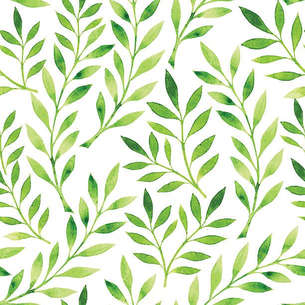A Drawing Of A Pattern Of Green Leaves On A White Background 612x612 A Drawing Of A Pattern Of Green Leaves On A White Background