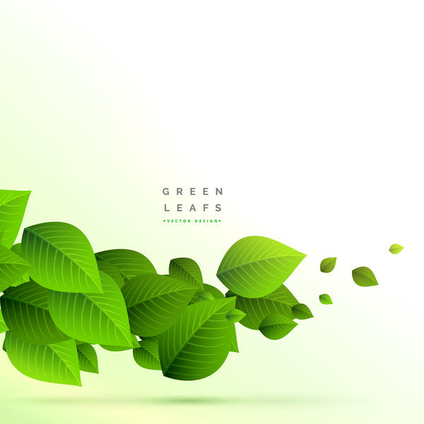 Vector Green Leaves Background Design Free Download 600x600 Vector Green Leaves Background Design Free Download