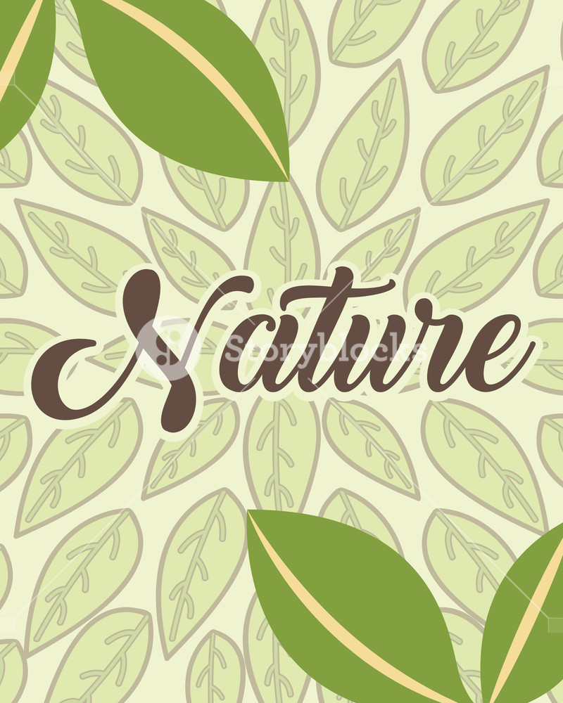 Nature Word On Green Leaves Background Vector Illustration Royalty 800x1000 Nature Word On Green Leaves Background Vector Illustration Royalty