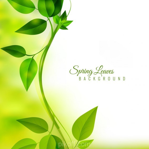 Limb With Green Leaves On Unfocused Background Vector Free 626x626 Limb With Green Leaves On Unfocused Background Vector Free