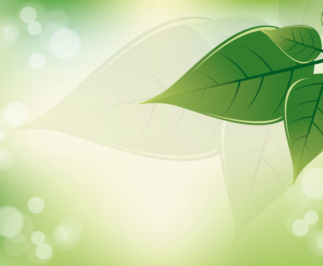 Beautiful Green Leaf Background Vector Art Graphics 1136x936 Beautiful Green Leaf Background Vector Art Graphics