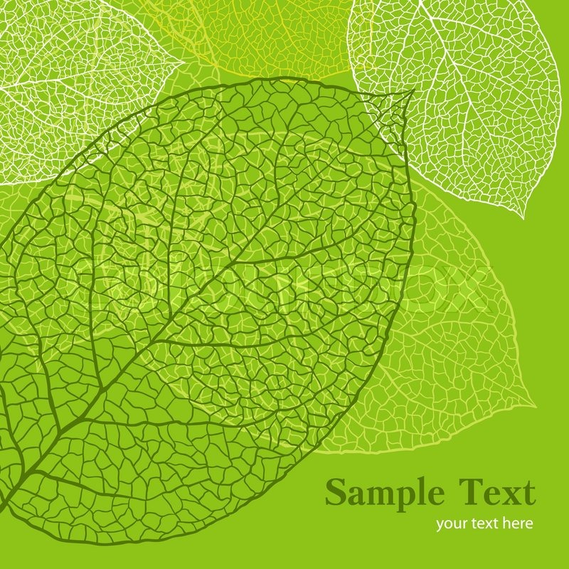 Fresh Green Leaves Background 800x800 Fresh Green Leaves Background