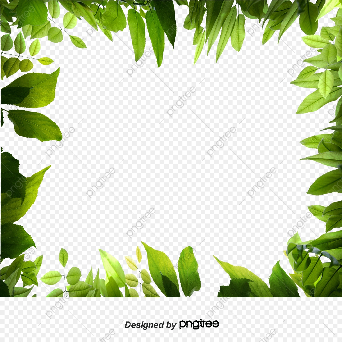 Download Leaf Border Vector at Vectorified.com | Collection of Leaf ...