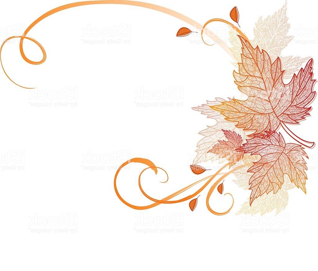 Hd Autumn Leaves Border Vector Design Free Vector Art, Images 1024x872 Hd Autumn Leaves Border Vector Design Free Vector Art, Images