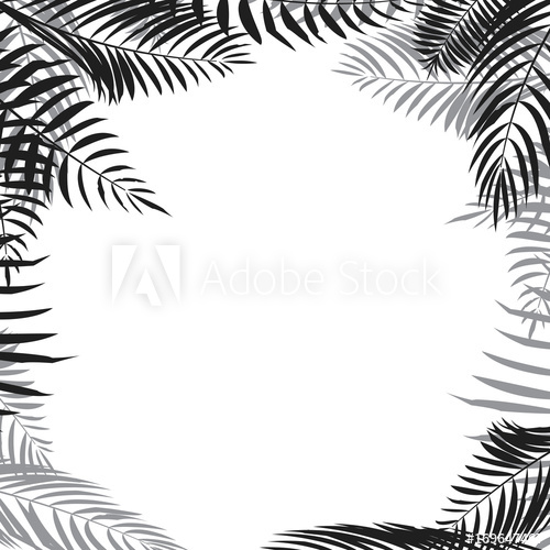 Palm Leaf Border Vector 500x500 Palm Leaf Border Vector
