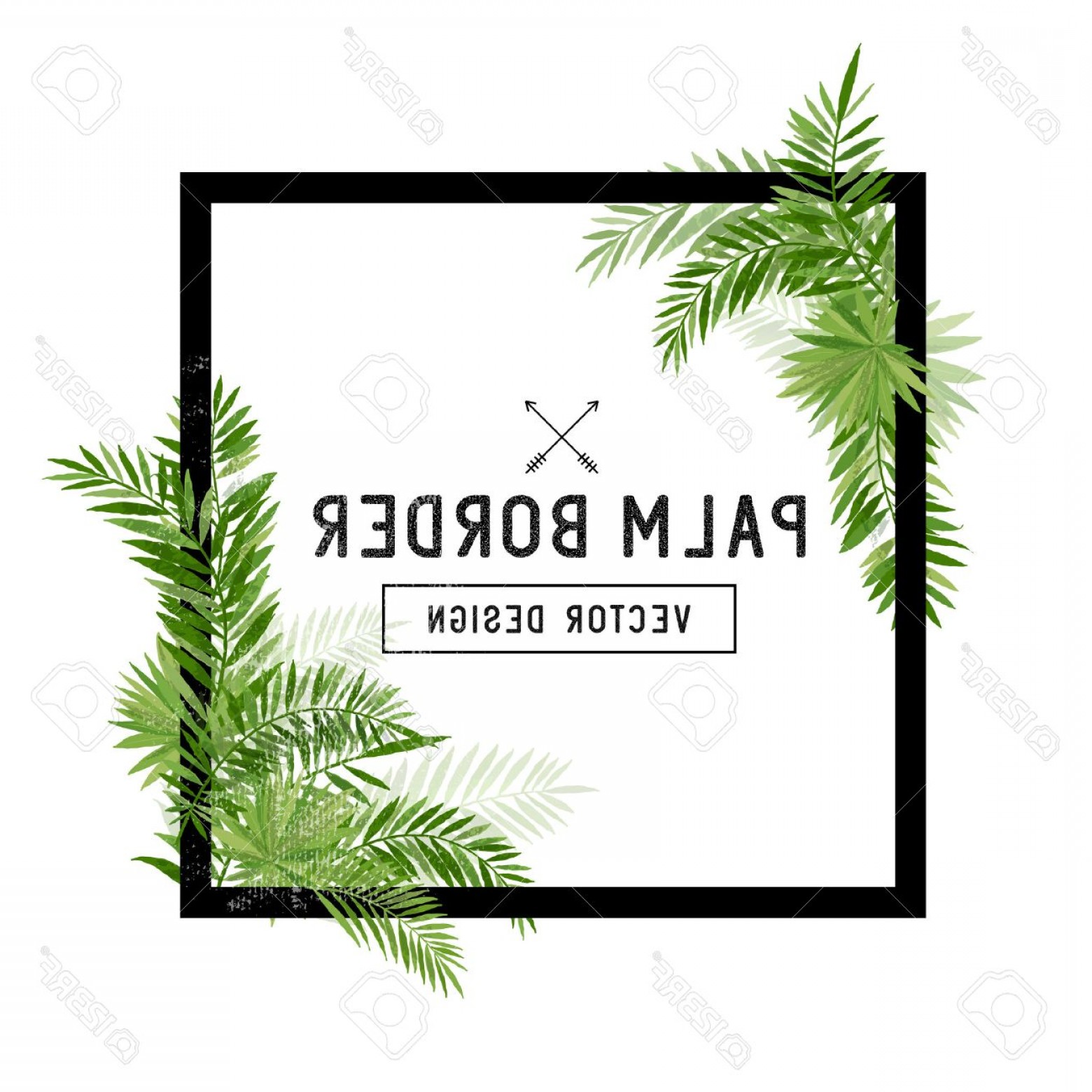 Photostock Vector Tropical Palm Leaf Border Vector Summer Palm 1560x1560 Photostock Vector Tropical Palm Leaf Border Vector Summer Palm