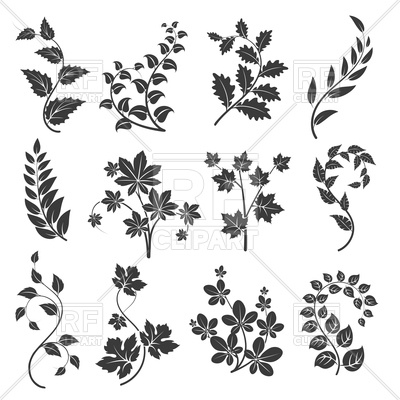 400x400 Curly Branches Silhouettes With Leaves Vector Image Of Signs