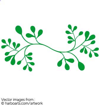335x355 Download Leaf Branch