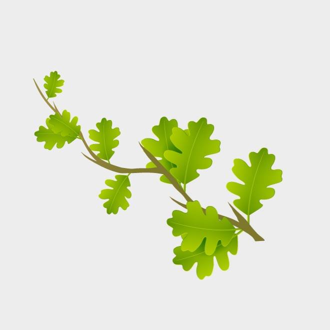 660x660 Green Branch Vector Image
