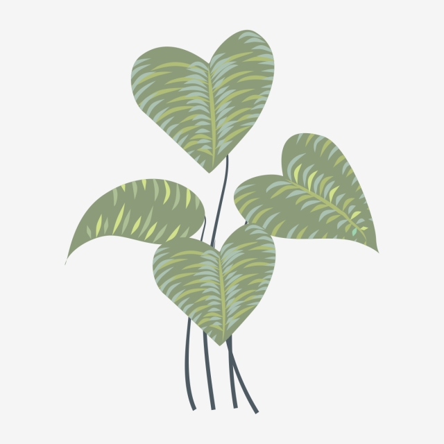 640x640 Green Leaf With Small Branches, Shape, Color, Design Png