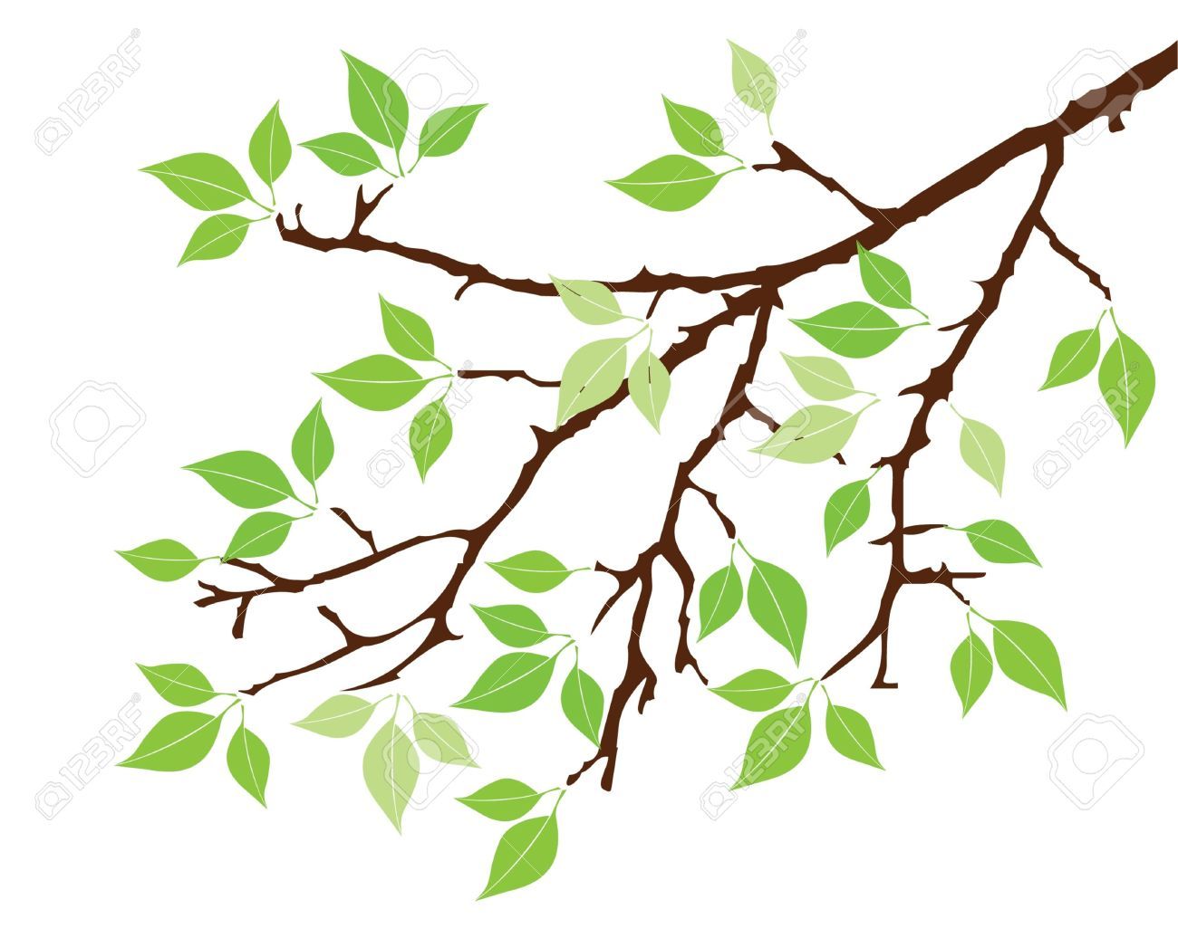 1300x1036 Stock Vector Clip Art Vector Trees, Leaves Vector, Tree Stencil