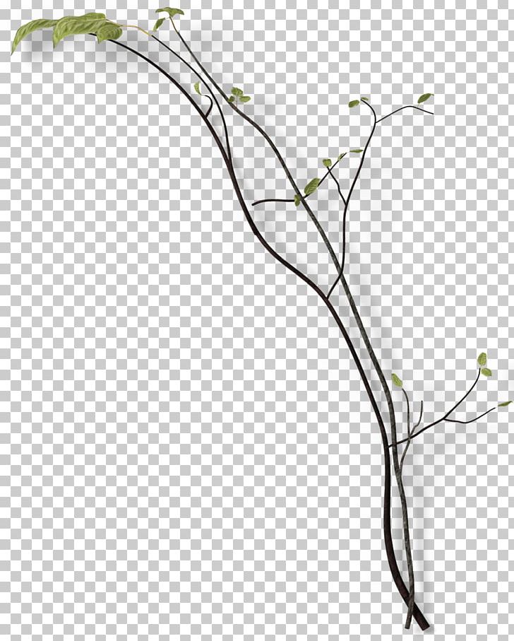 728x907 Twig Branch Leaf Green Png, Clipart, Background Green, Branch