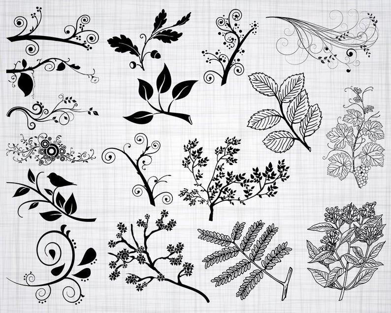 794x635 Branch Decorative Branch Leaf Branches Etsy