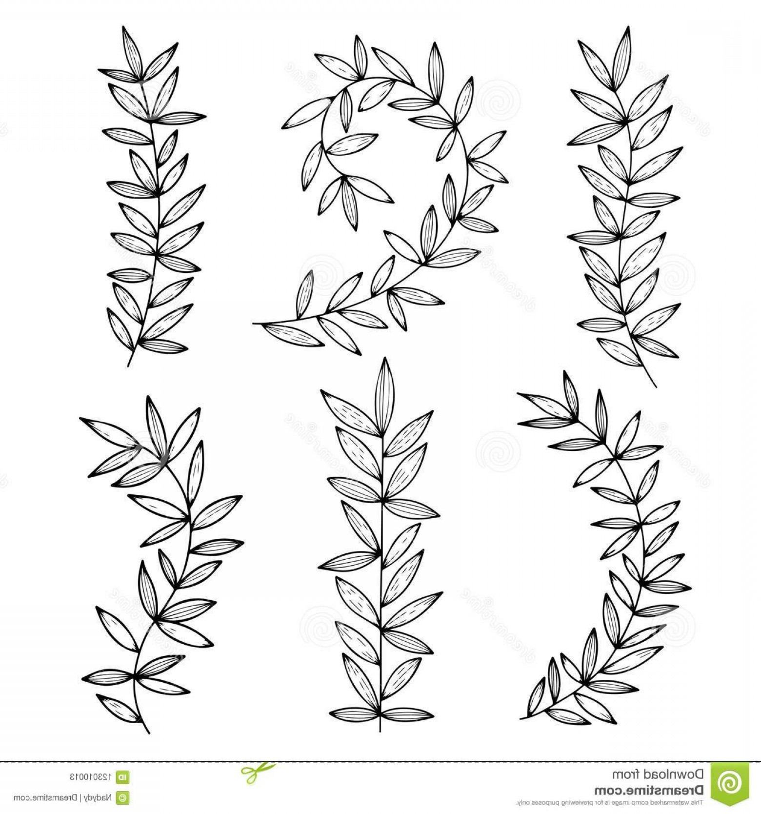 1560x1668 Vector Floral Branch Soidergi
