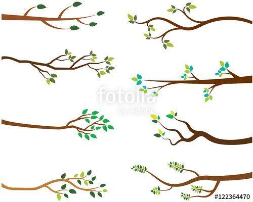 500x400 Vector Set Of Tree Branches With Green Leaves Stock Image