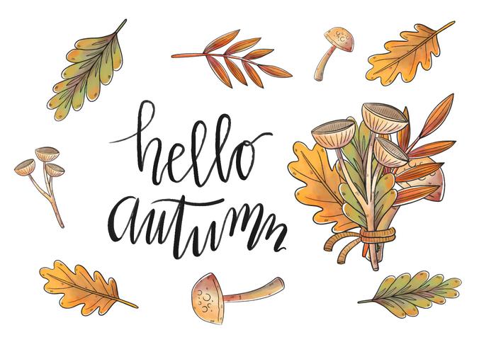 700x490 Watercolor Autumn Leaves And Branch Vectors