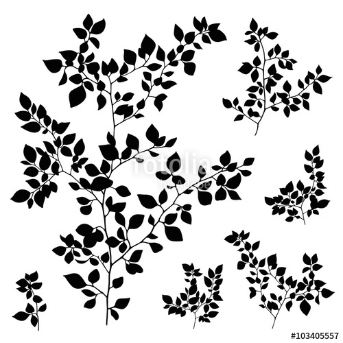 Leaf Branch Vector at Vectorified.com | Collection of Leaf Branch ...