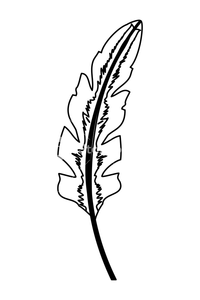 667x1000 Outline Natural Exotic Leaf Branch Style Vector Illustration