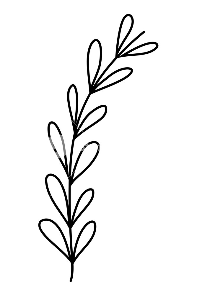 Leaf Branch Vector at Vectorified.com | Collection of Leaf Branch