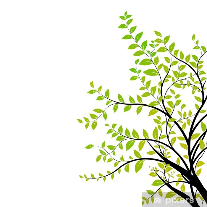 700x700 Tree Branch Vector