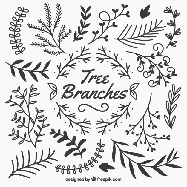 626x626 Branch Vectors, Photos And Free Download