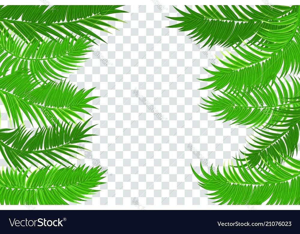 Green Leaves Frame On White Background With Copy Space Leaf Circle 1000x780 Green Leaves Frame On White Background With Copy Space Leaf Circle