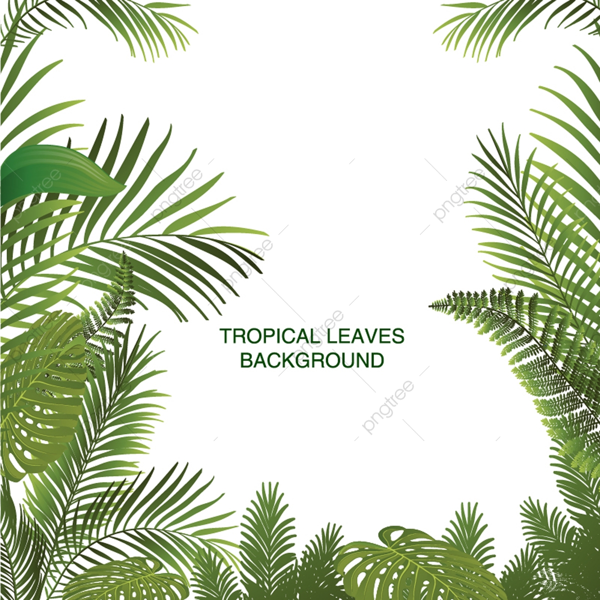 Tropical Leaves Background Vector Design, Tropical Leaves Circle 1200x1200 Tropical Leaves Background Vector Design, Tropical Leaves Circle