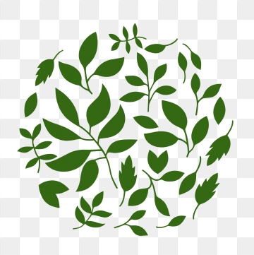 360x361 Leaf Vector, Graphic Resources For Free Download