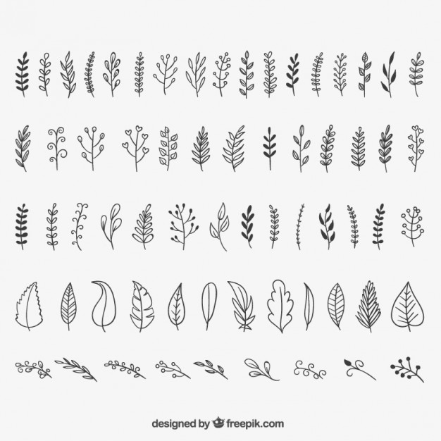 626x626 Leaf Vectors, Photos And Free Download