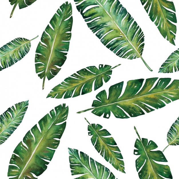626x626 Leaves Pattern Design Vector Free Download