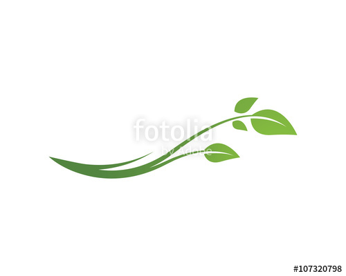 500x400 Tree Leaf Vector Logo Design, Eco Friendly Concept Stock Image