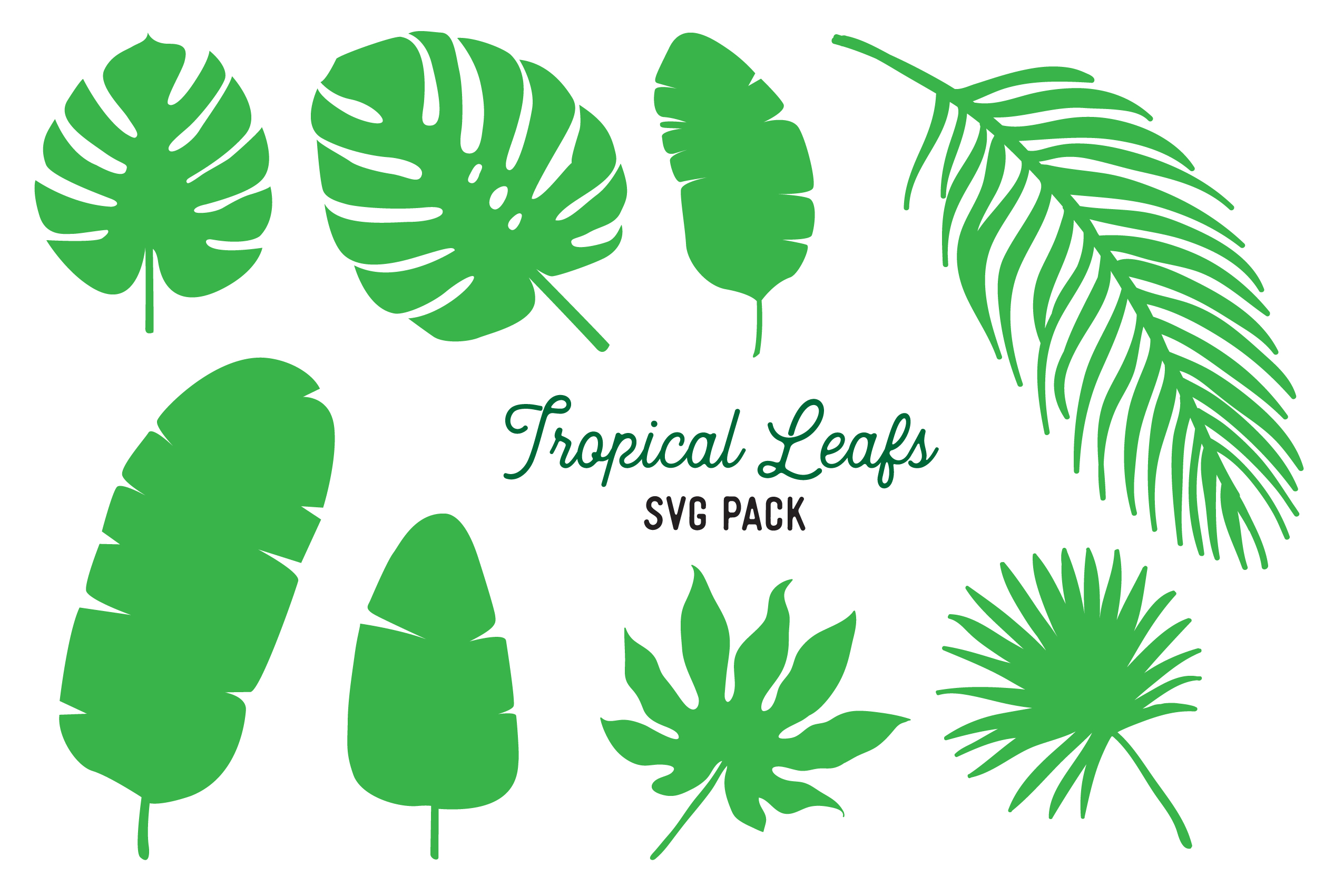 2551x1701 Tropical Leaf Vector Design Bundle