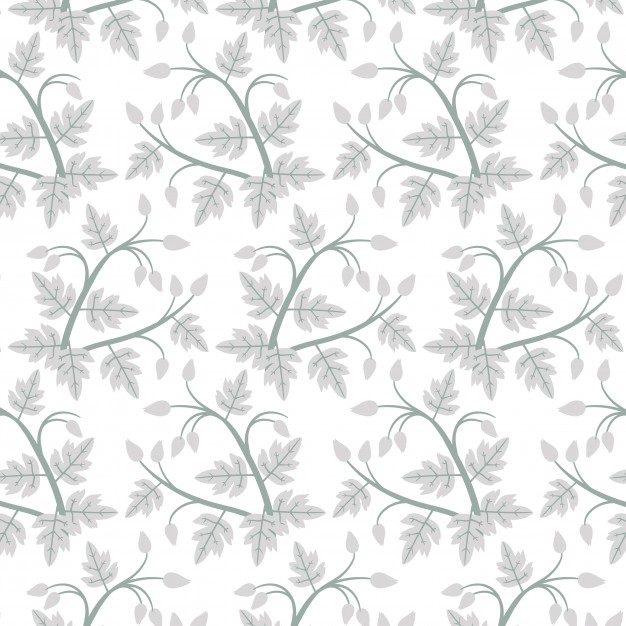 626x626 Vectors Of Leaves Free Vector Graphics Everypixel