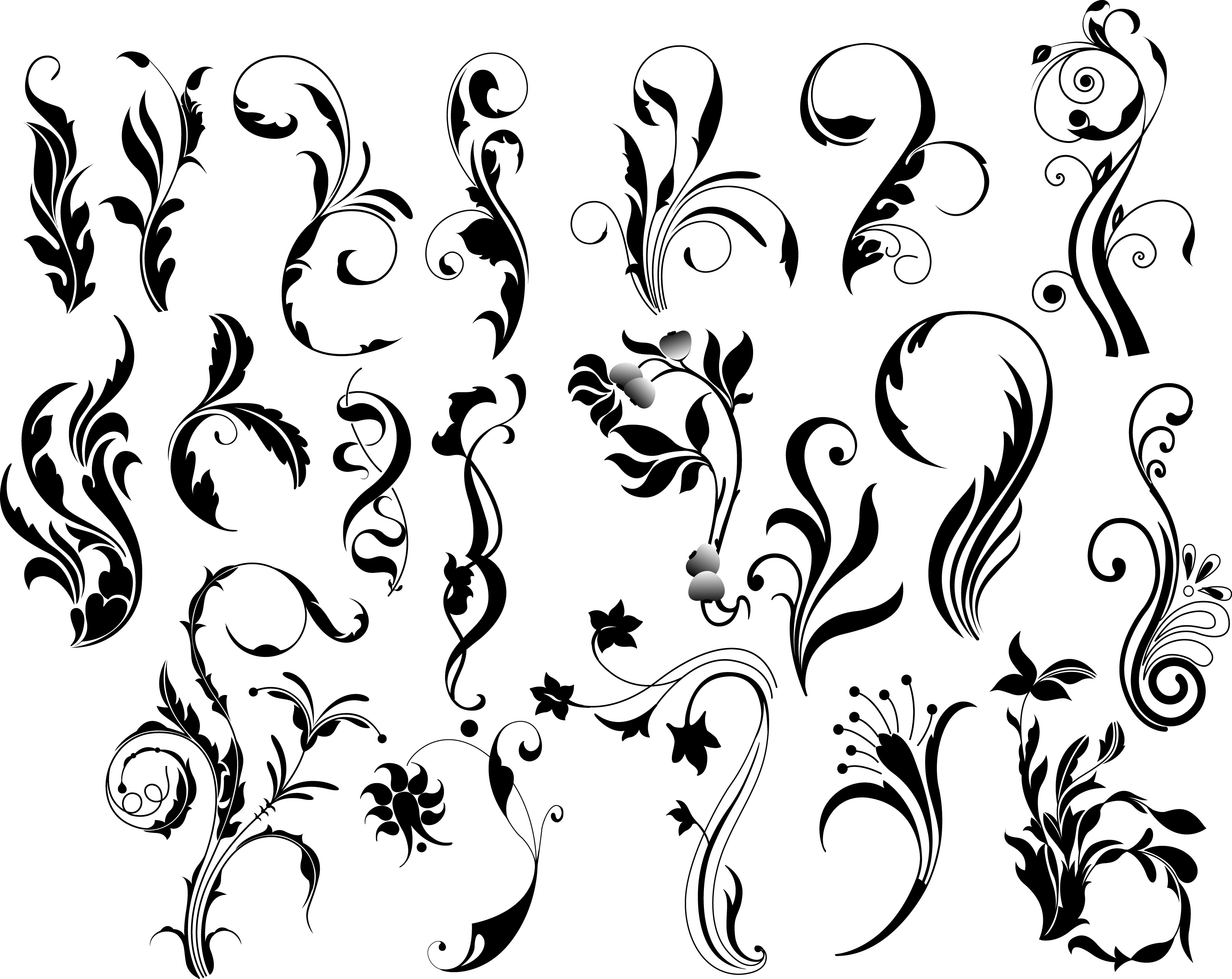 Leaf Flourish Vector