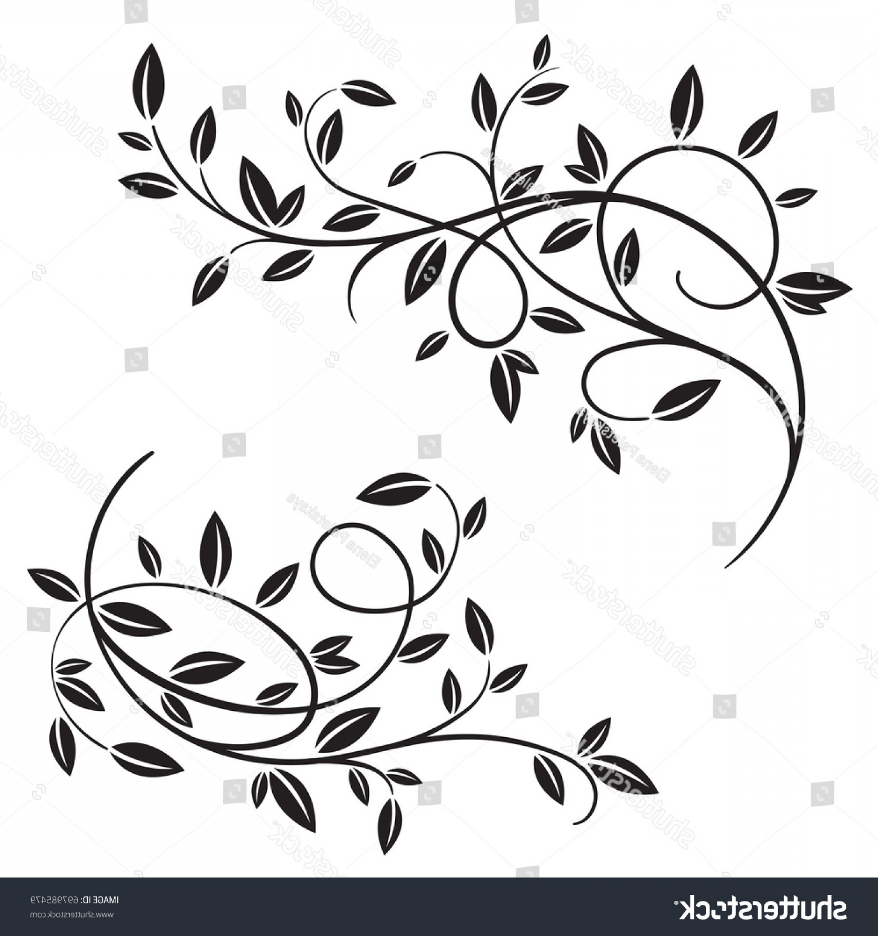 Leaf Flourish Vector at Collection of Leaf Flourish