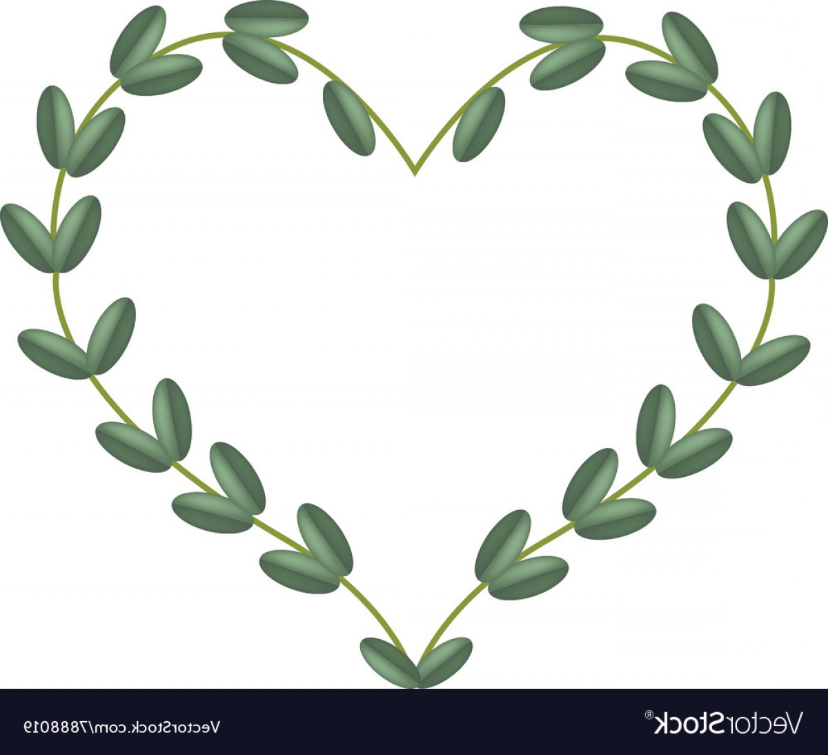 1200x1094 Green Vine Leaves In Beautiful Heart Shape Frame Vector Studiogrfx