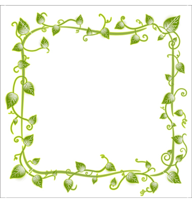 380x400 Leaf Frame Vector Images