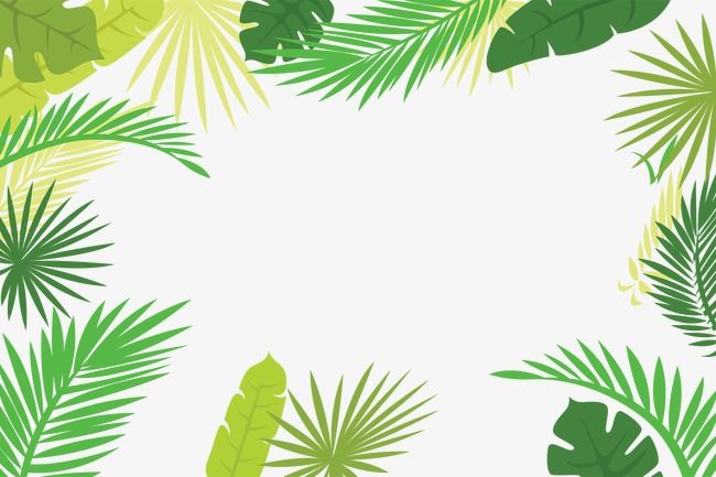 650x433 Palm Leaf Border, Cartoon, Hand Painted, Vector Png And Vector